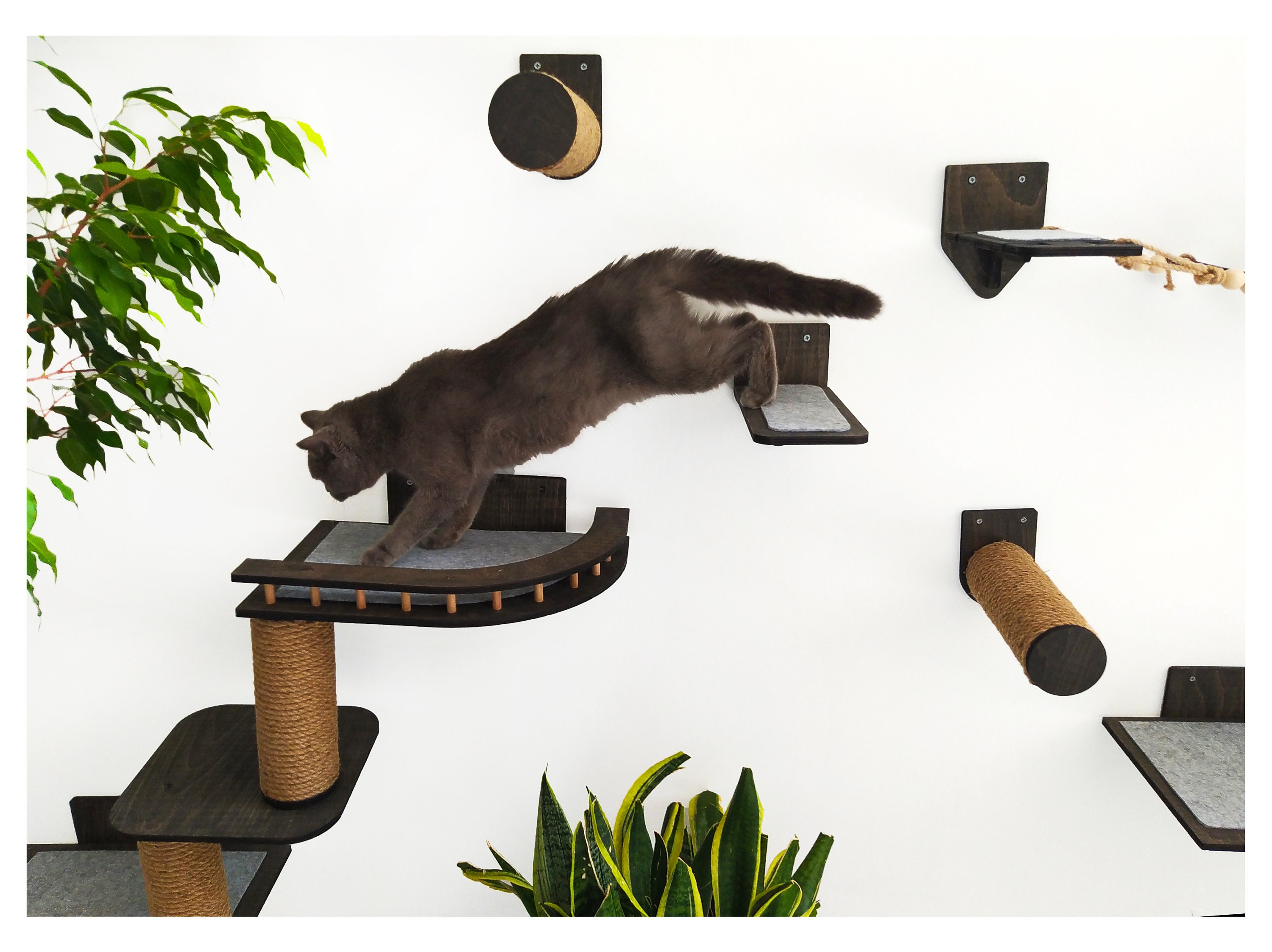 Wooden Cat Wall Furniture Set / Cat Wall Shelves / Cat Tree / Etsy Australia
