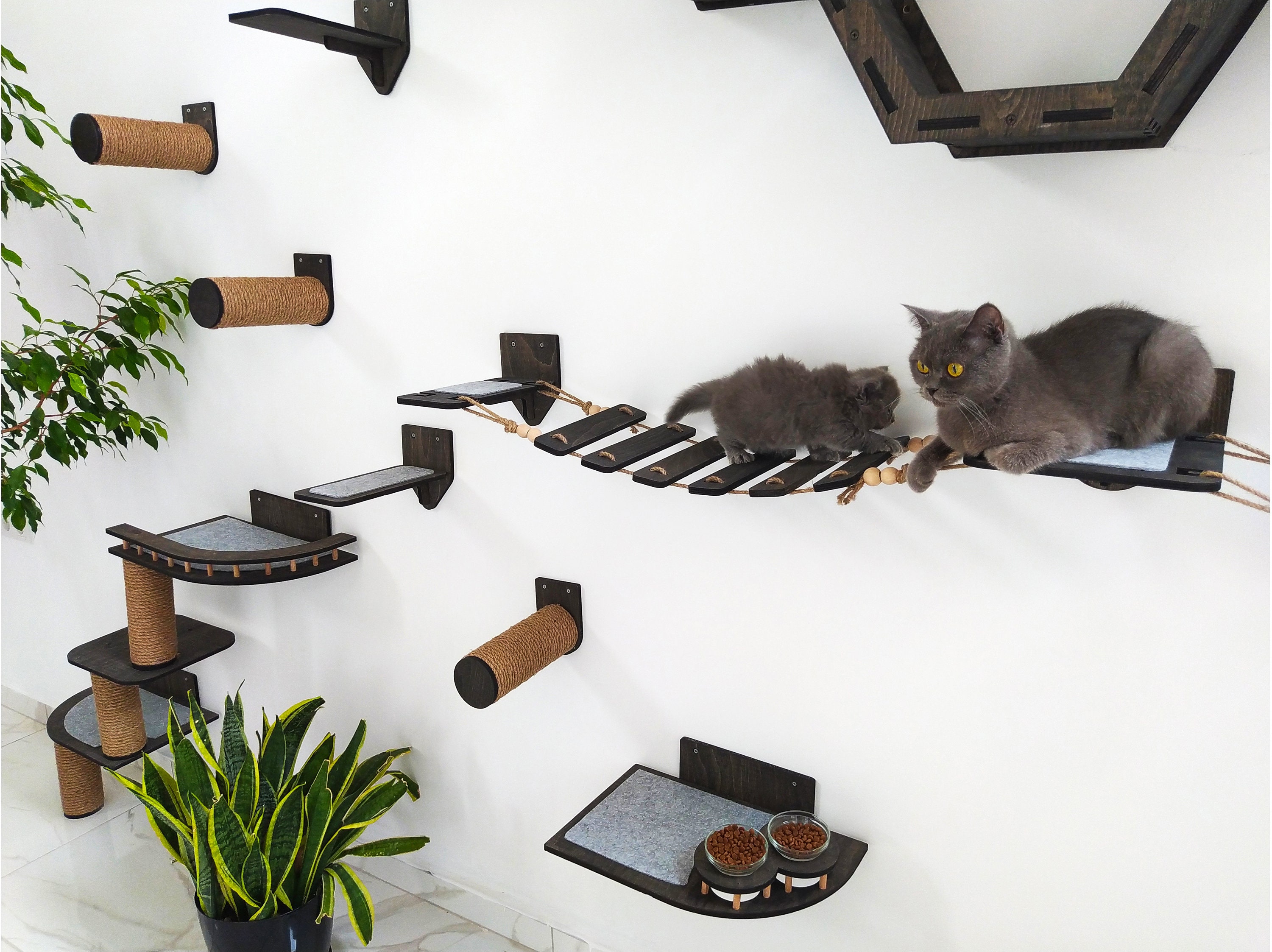 Wooden Cat Wall Furniture Set / Cat Wall Shelves / Cat Tree / Etsy Canada