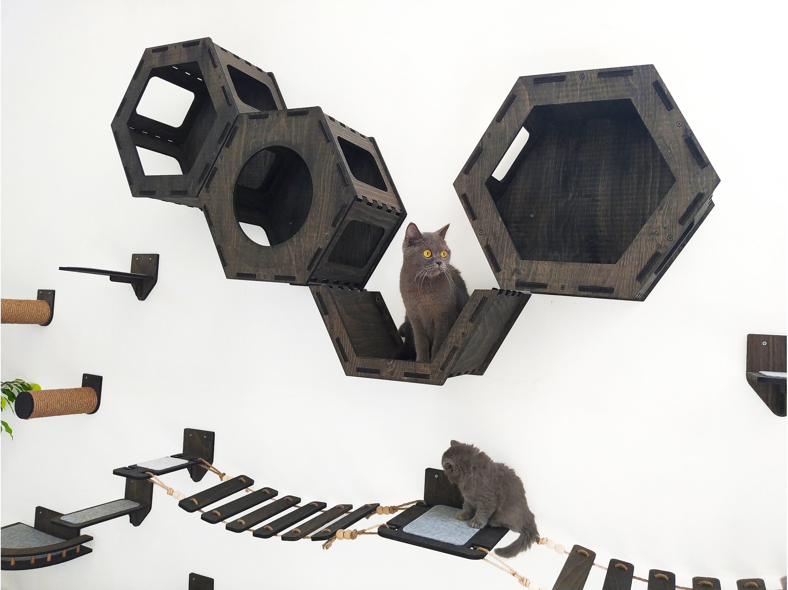 Wooden Cat Wall Furniture Set / Cat Wall Shelves / Cat Tree / Etsy Canada