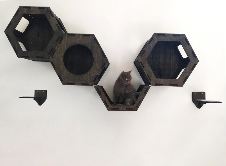 Wooden Hexagon and 3 Steps Cat Wall Furniture Set / Cat Wall Etsy