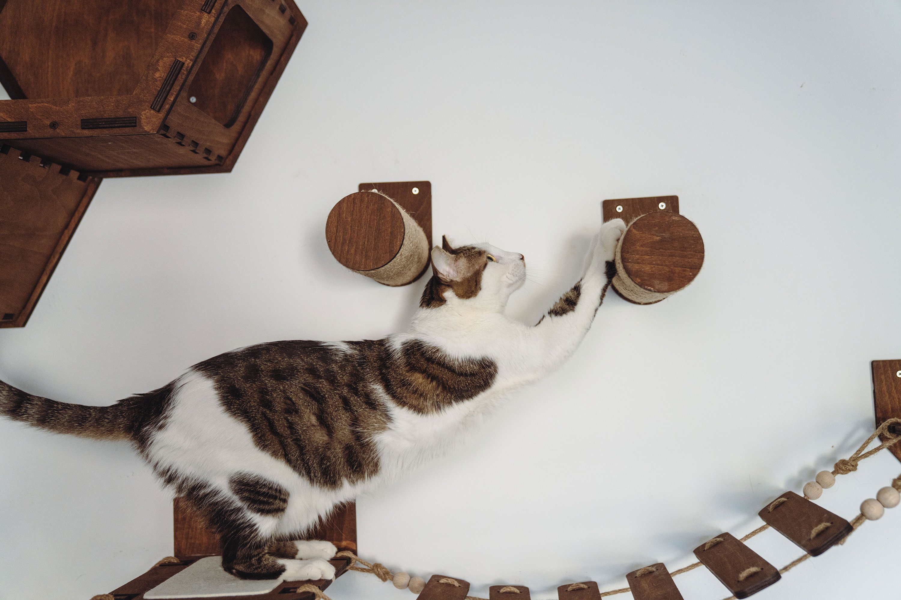 Wooden Cat Wall Furniture Set / Cat Wall Shelves / Cat Tree / Etsy Canada