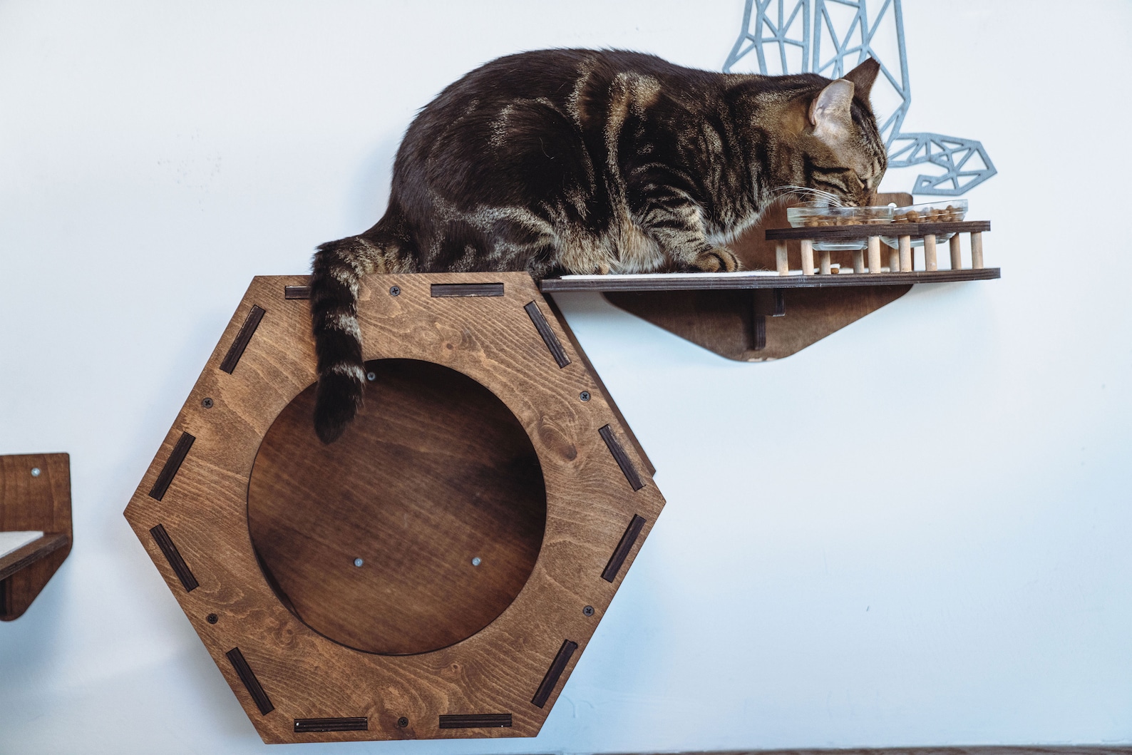 Wooden Cat Wall Furniture Set / Cat Wall Shelves / Cat Tree / Etsy