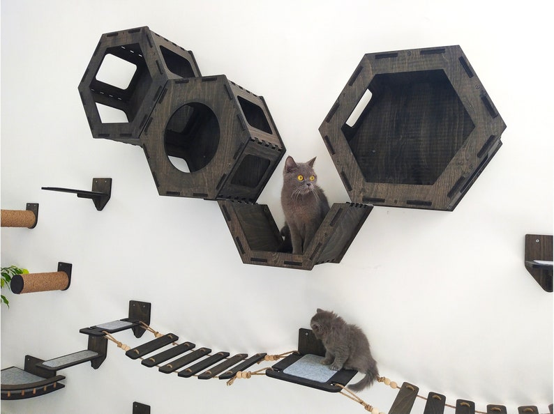 Wooden Cat Wall Furniture Set / Cat Wall Shelves / Cat Tree / - Etsy