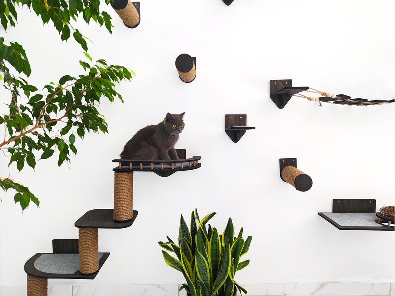 Wooden Cat Wall Furniture Set / Cat Wall Shelves / Cat Tree / Etsy Australia