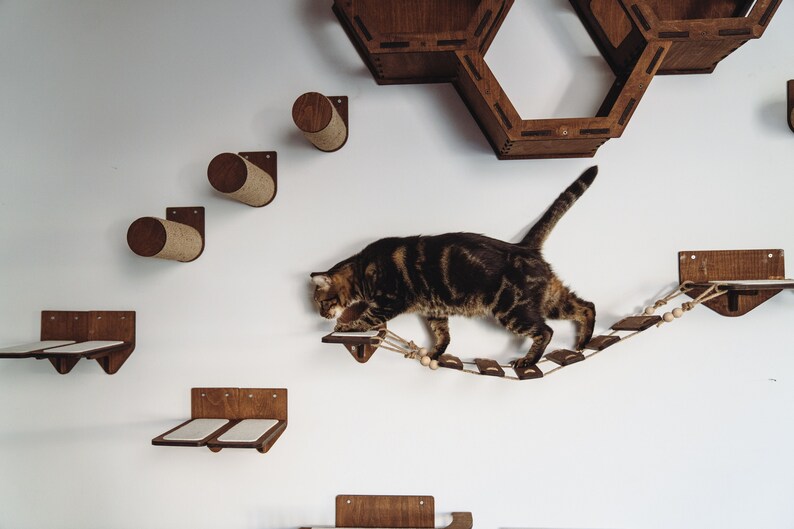 Wooden Cat Wall Furniture Set / Cat Wall Shelves / Cat Tree / Etsy
