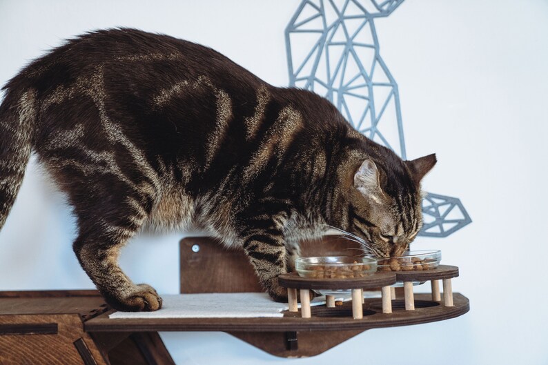 Wooden Cat Wall Furniture Set / Cat Wall Shelves / Cat Tree / Etsy Canada