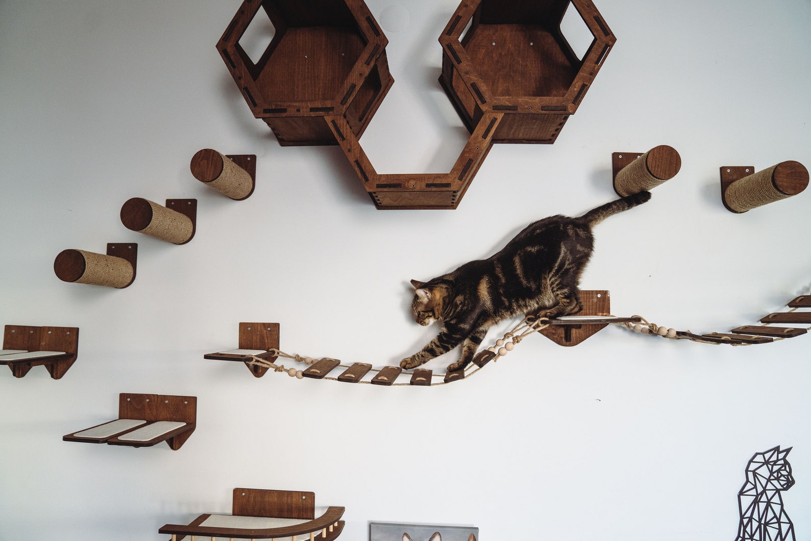 Wooden Cat Wall Furniture Set / Cat Wall Shelves / Cat Tree / Etsy