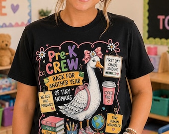 Silly Goose Teacher Shirt, Pre-K Crew Teacher Shirt, Grade Level Team Tee, Teacher Shirt Elementary