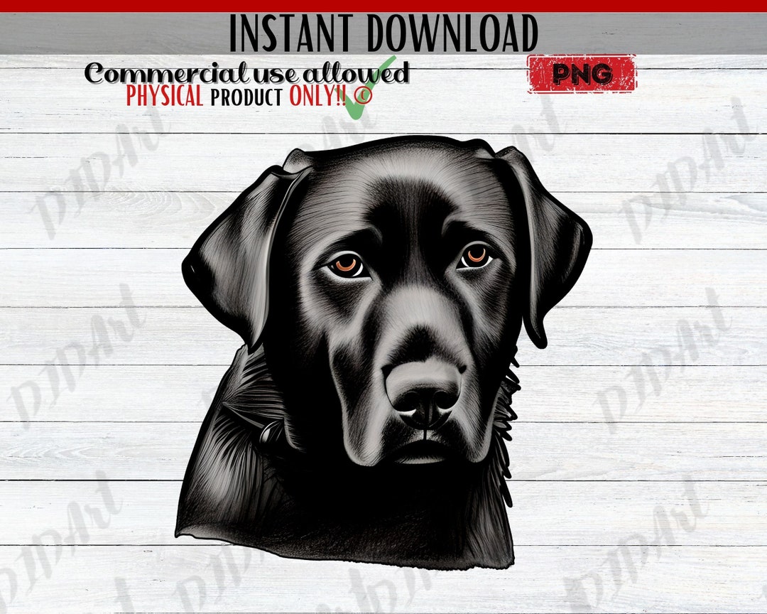 Black Labrador Retriever Png, Dog Sublimation Design, Lab Dog Gift ...