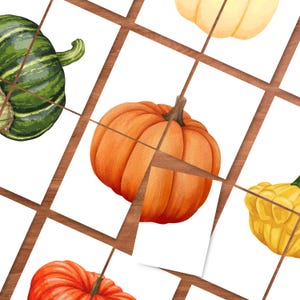 Könnte beinhalten: Eine Sammlung rechteckiger Karten mit Aquarellillustrationen verschiedener Kürbisse und Zierkürbisse in Orange-, Grün- und Gelbtönen. Jede Karte zeigt ein einzelnes Gemüse vor weißem Hintergrund, angeordnet in einem Rastermuster.