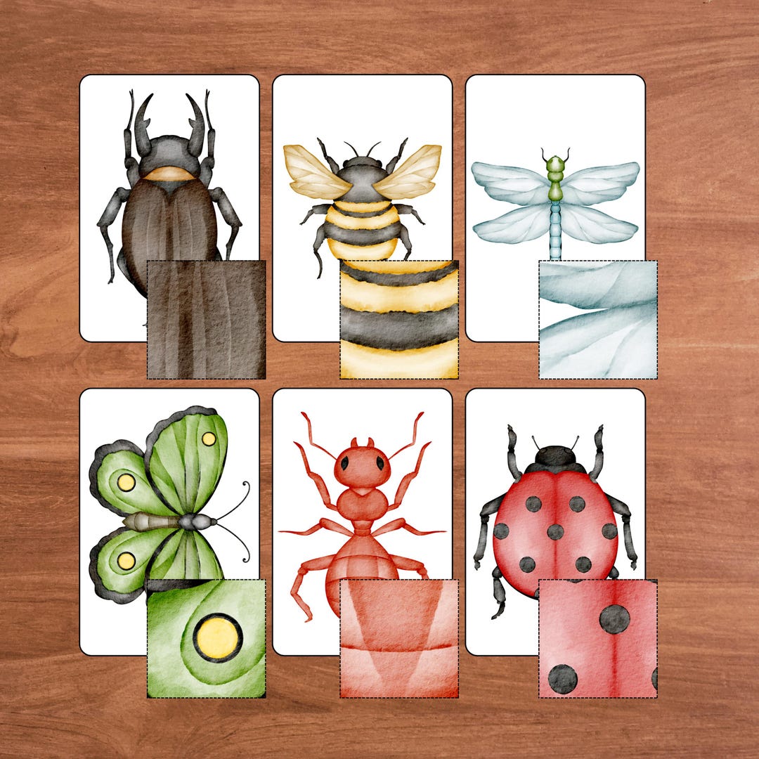 Insect Pattern Match Activity, Printable Insect Educational Activity ...