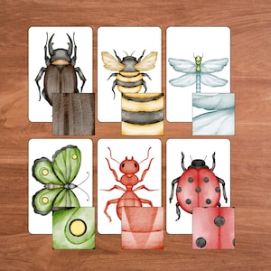 Insectpatroonwedstrijdactiviteit, afdrukbare educatieve insectenactiviteit voor peuters en kinderen, lente-homeschoolactiviteit