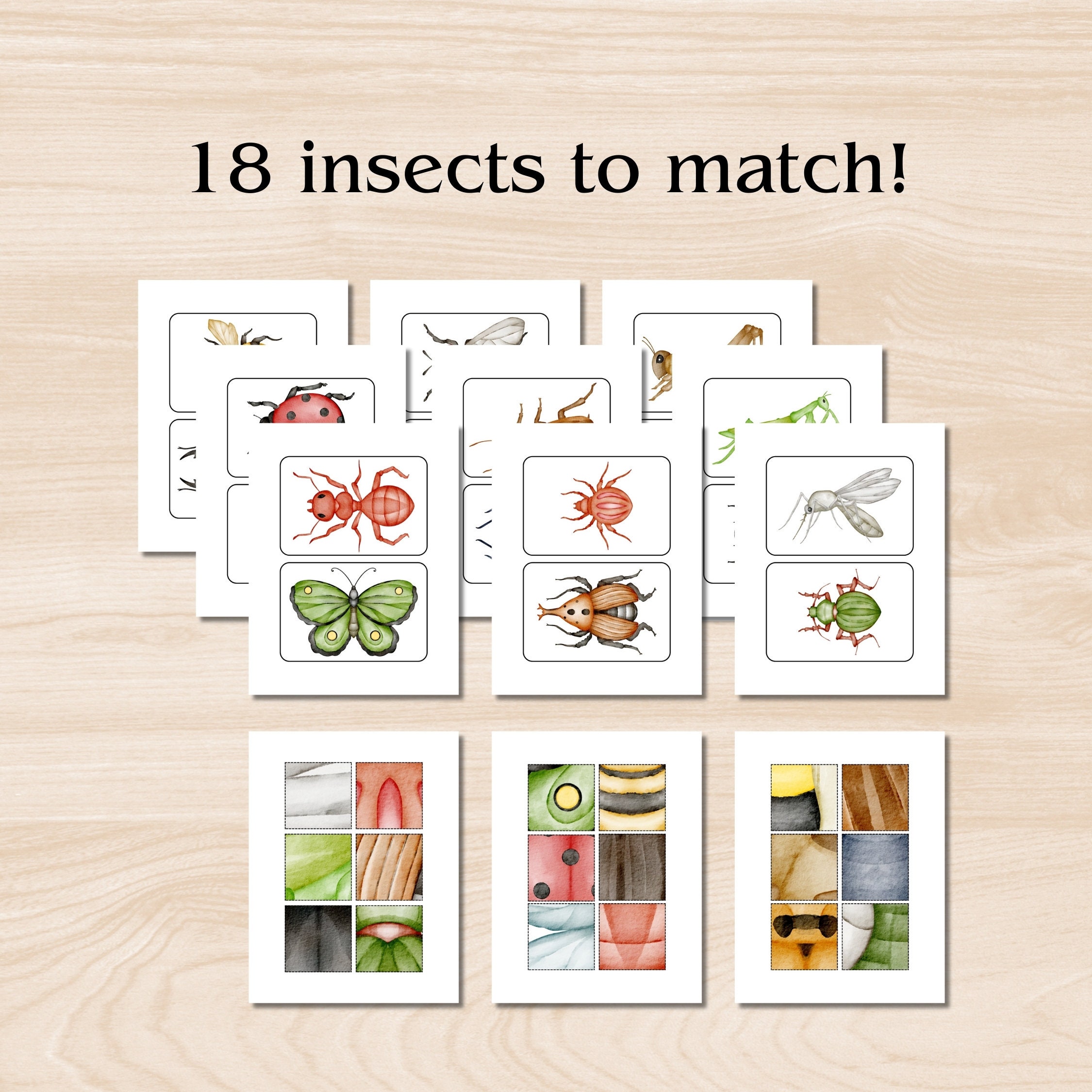 Spring Insect Matching Insect Pattern Match Activity, Printable Insect Educational Activity ...