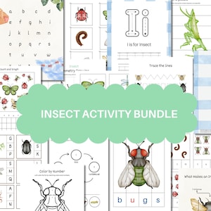 Insect Study Unit Activity Bundle, Printable Digital Download, Preschool Insect Activity, Bugs and Minibeasts PreK Printable Pack