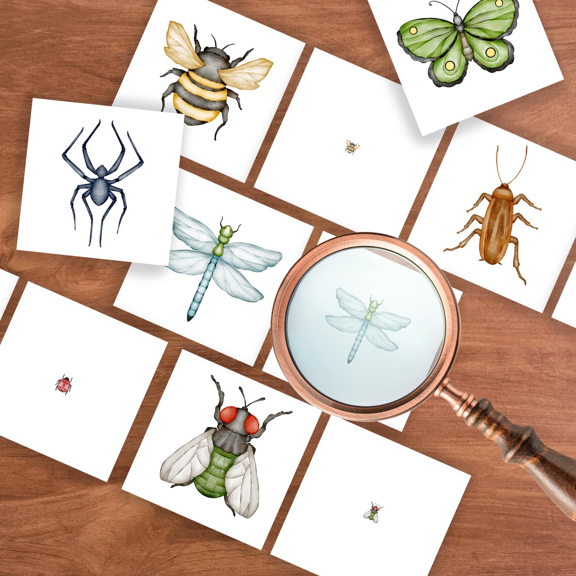 Spring Insect Matching Insect Magnifying Glass Matching Activity, Preschool Spring Activity ...