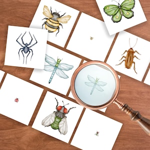 Insect Magnifying Glass Matching Activity, Preschool Spring Activity, Insect Unit Activity Printable, Insect Matching Cards, Bug Unit