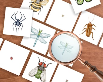 Insect Magnifying Glass Matching Activity, Preschool Spring Activity, Insect Unit Activity Printable, Insect Matching Cards, Bug Unit