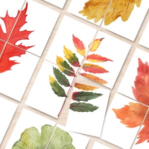 Blatt Puzzle Aktivität druckbar, Vorschule Blatt 4-teiliges Puzzlespiel, Herbst Einheit druckbare Aktivität, Herbst Homeschool Aktivitäten