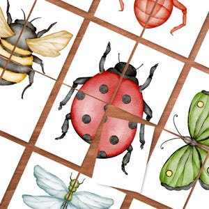 Pode incluir: Ilustrações em aquarela de insetos, incluindo uma abelha, uma joaninha, uma borboleta e uma libélula, dispostas em uma grade de madeira. Os insetos são em várias cores, como vermelho, amarelo, verde e azul, em um fundo branco.