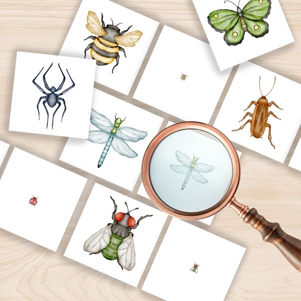 Insect Magnifying Glass Matching Activity, Preschool Spring Activity, Insect Unit Activity Printable, Insect Matching Cards, Bug Unit