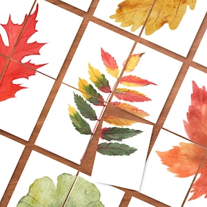 May include: Watercolour illustrations of autumn leaves in red, yellow, orange, and green are arranged on white squares. The squares are set against a wooden background, creating a mosaic effect. The leaves are detailed and vibrant.