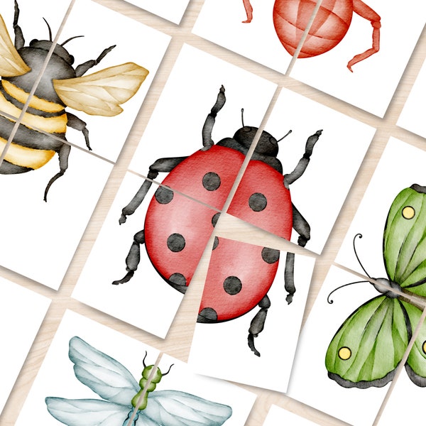 Insect Puzzle Activity Printable, Preschool Insect 4 Piece Puzzle Game, Insect Unit Printable Activity, Spring Homeschool Activities