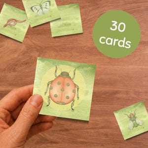 Op de afbeelding: Waterverfillustraties van insecten op groene kaarten. Een lieveheersbeestjeskaart wordt in een hand gehouden. Andere kaarten tonen een vlinder, een worm en een vlieg. Een groene cirkel leest "30 kaarten".