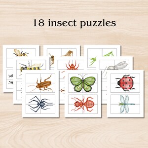 May include: A collection of 18 insect puzzles. Each puzzle features a watercolor illustration of an insect, including a bee, butterfly, and ladybug. The puzzles are on white cards with a grid design. Text at the top reads "18 insect puzzles."