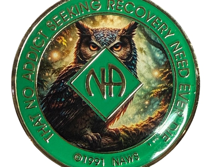 Owl NA Recovery Token – Wisdom & Clarity Sobriety Coin with “That No Addict…” Back
