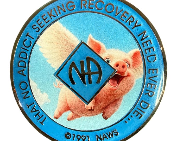 Flying Pig NA Recovery Medallion – Clean Time Token