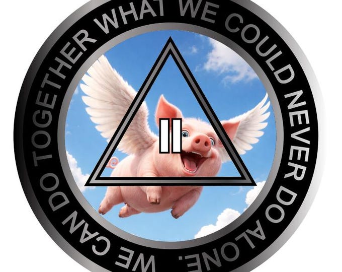 Flying Pig AA Medallion – Clean Time Chip