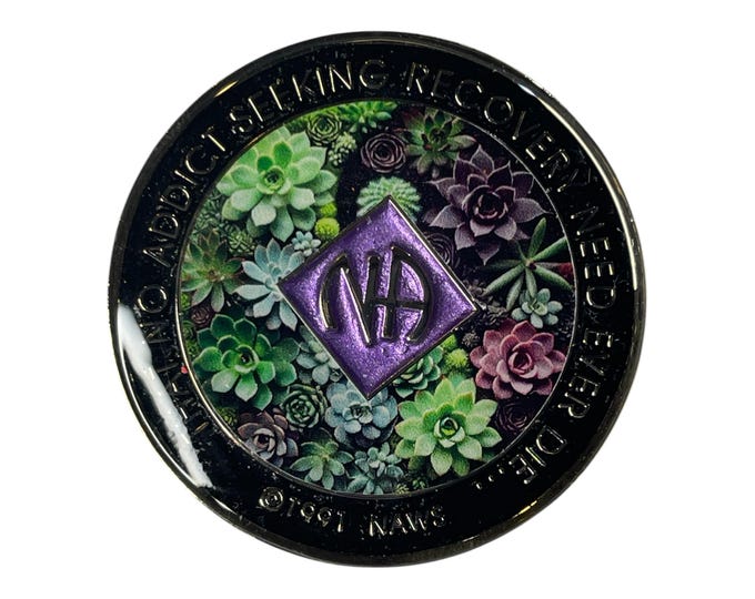Custom 12-Step Medallion | Personalized Clean Time Token | Sobriety Gift