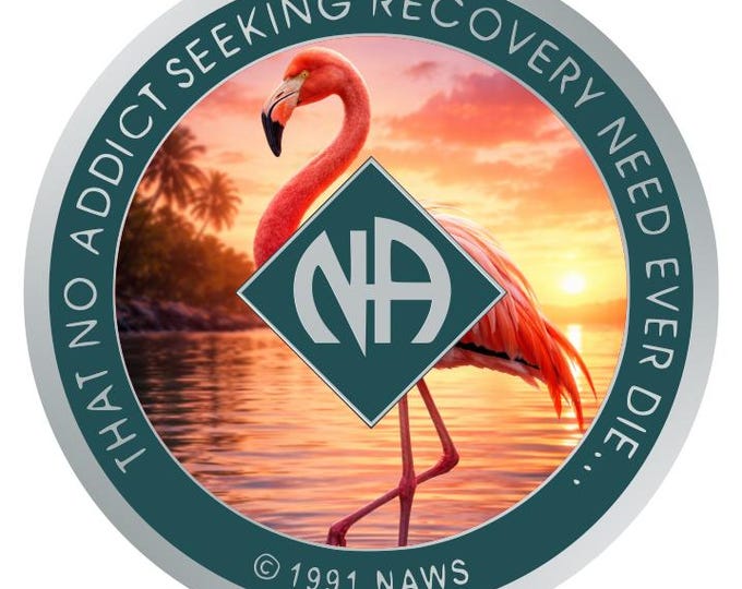 NA Flamingo Sunset Recovery Medallion – Narcotics Anonymous Coin Resin Finish