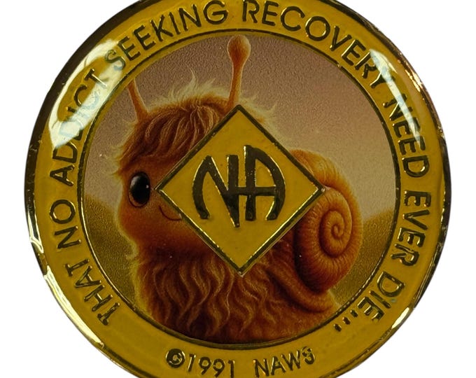 3D Fuzzy Snail NA Medallion – Bronze Narcotics Anonymous Recovery Token