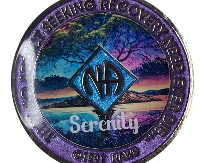 Personalized Sobriety Token with NA Emblem | Recovery Milestone Gift | Serenity Chip