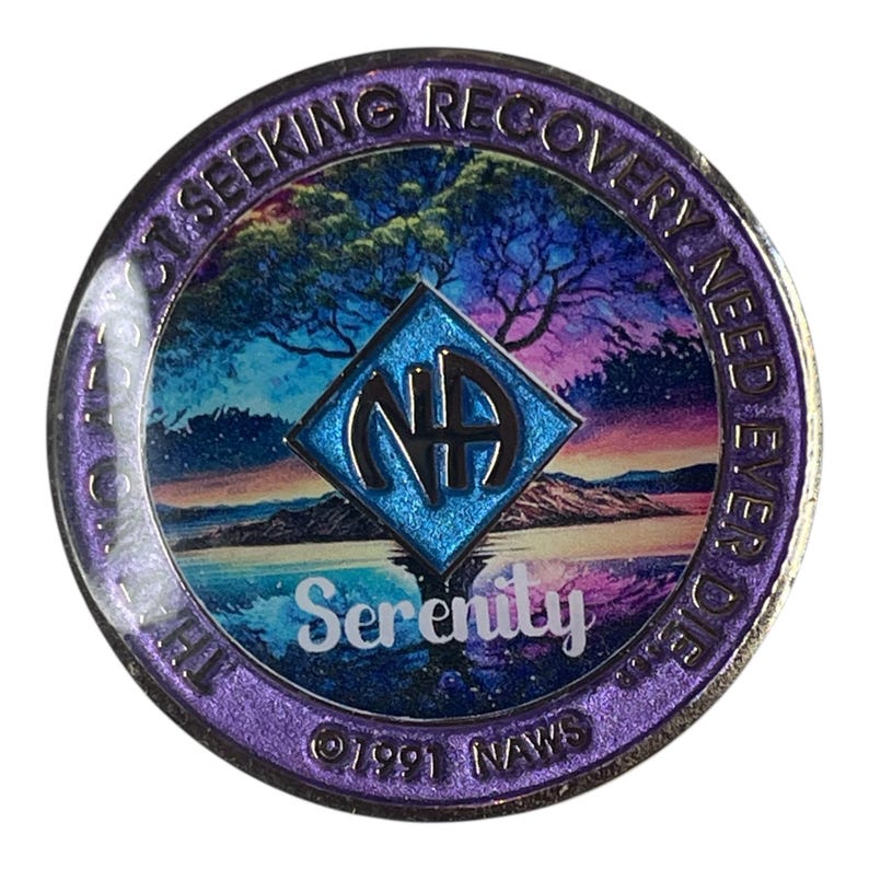 Personalized Sobriety Token With NA Emblem | Recovery Milestone Gift ...