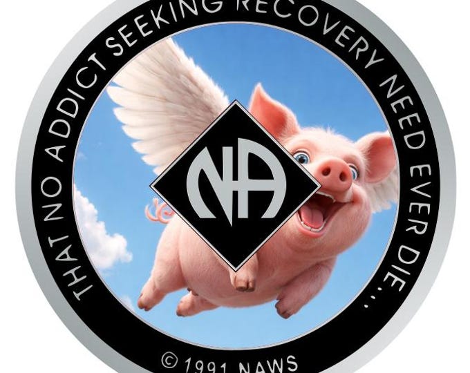 Flying Pig NA Recovery Medallion – Clean Time Token