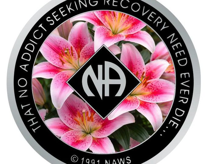 Pink Lily NA Token – Clean Time Coin / Recovery Chip