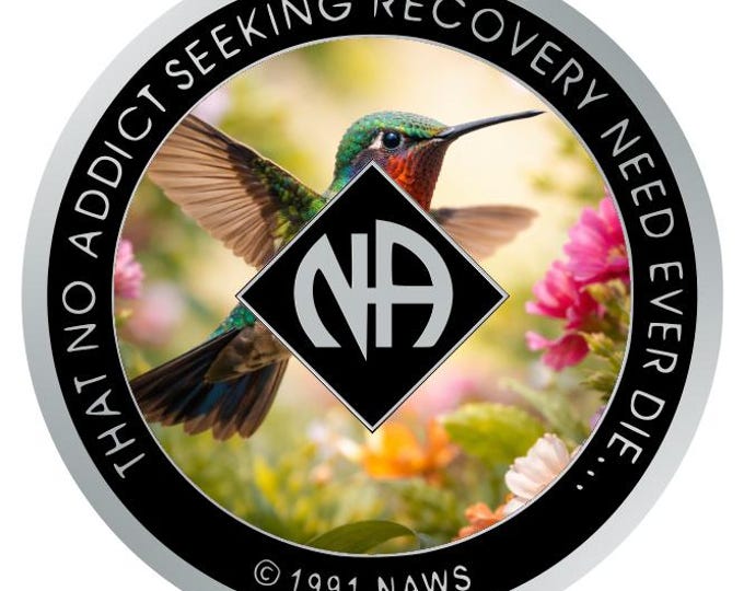 Hummingbird NA Recovery Token – Joy & Resilience Sobriety Coin with “That No Addict…” Back