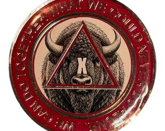 Handmade AA Token – Buffalo Theme – 38mm Anniversary Recovery Coin