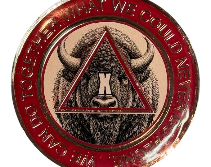 Handmade AA Token – Buffalo Theme – 38mm Anniversary Recovery Coin