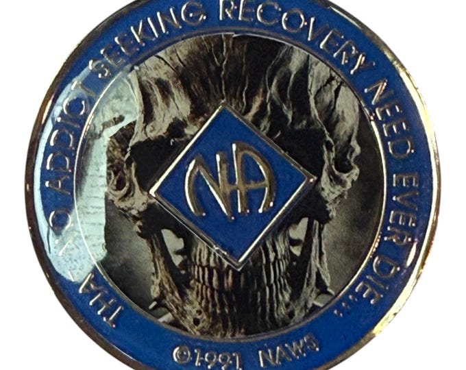 Skull NA Medallion –  Custom Clean Time Chip – Sobriety Gift for Narcotics Anonymous