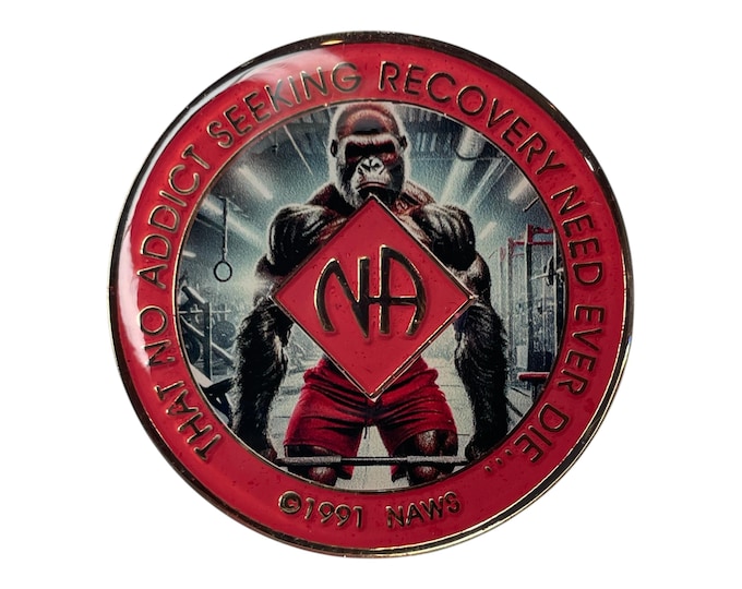 Custom 12-Step Medallion | Personalized Clean Time Token | Sobriety Gift