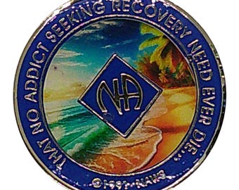Beach Sunset NA Medallion: Narcotics Anonymous Recovery Gift | Bronze Sobriety Token