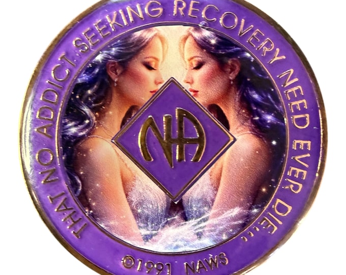 Gemini NA Token – Zodiac Recovery Coin with Twin Energy Theme