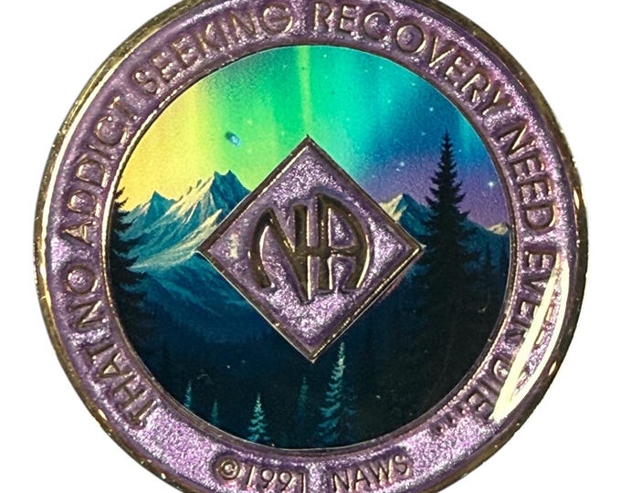 Bronze NA Token | Northern Lights Narcotics Anonymous Recovery Medallion