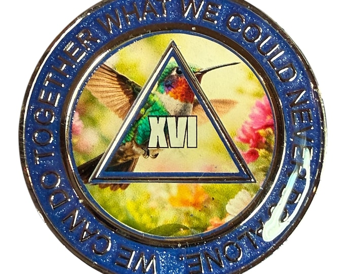 Hummingbird AA Recovery Token – Freedom & Renewal Sobriety Coin with Serenity Prayer