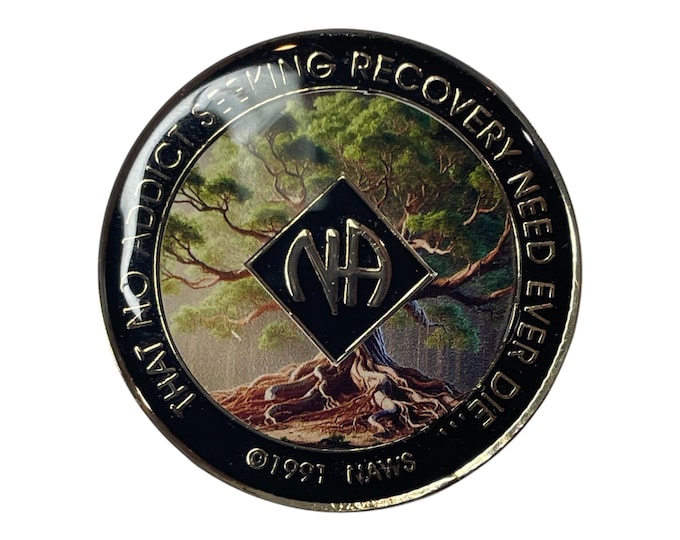 Tree of Life NA Medallion: Recovery Gift, Spiritual Charm