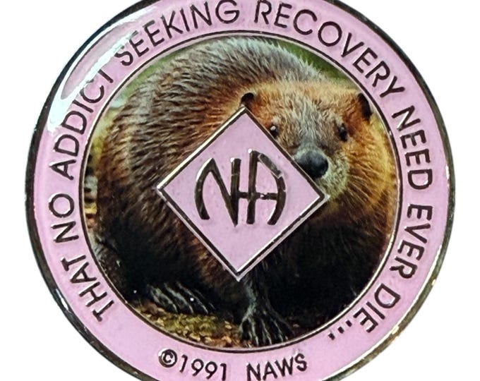 NA Medallion – Beaver Graphic | 34mm Clean Time Recovery Token | Narcotics Anonymous Sobriety Chip