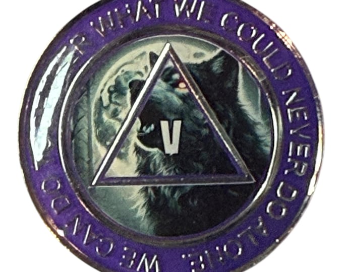 Customizable AA Sobriety Medallion - Alcoholics Anonymous Gift - Sober Anniversary Coin